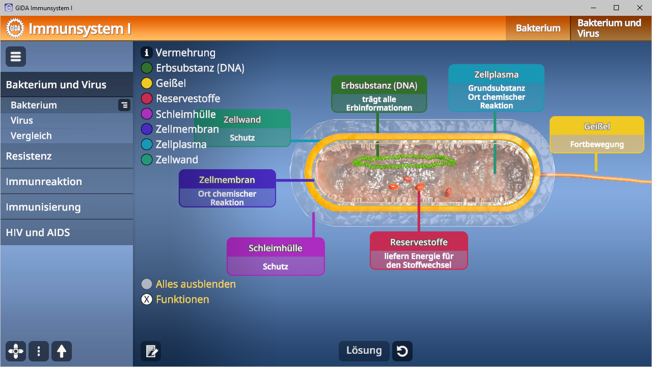 Infografik über das Immunsystem mit Beschriftungen zu Bakterien und Viren, einschließlich Zellstrukturen und deren Funktionen.