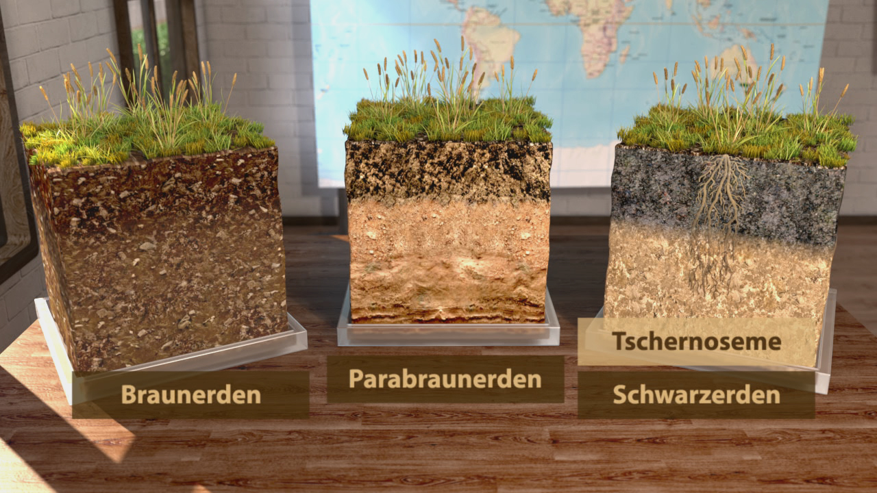 Drei verschiedene Bodentypen: Braunerden, Parabraunerden und Tschernoseme, dargestellt in Querschnitten mit Grasbewuchs.