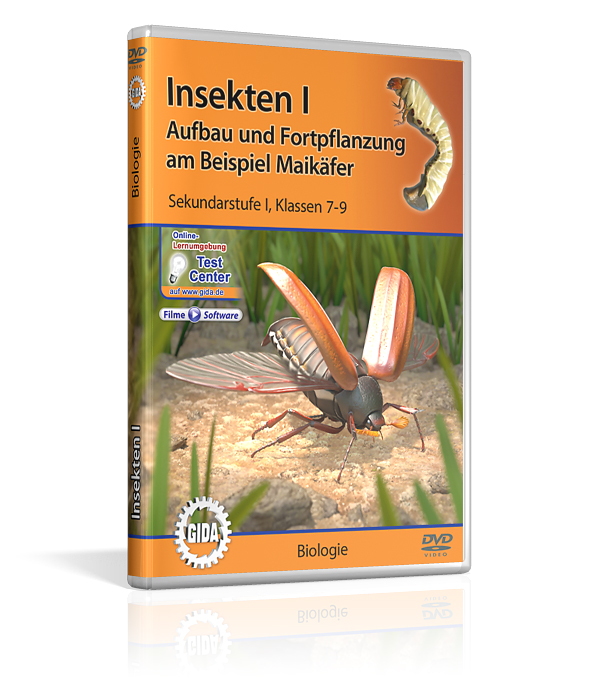 DVD-Cover mit dem Titel 'Insekten eins', zeigt einen Maikäfer und eine Mücke, thematisiert Aufbau und Fortpflanzung von Insekten.