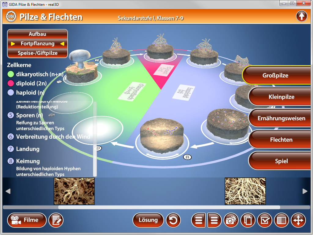 Interaktive Darstellung von Pilzen und Flechten mit verschiedenen Sekundarstufen und Klassen, einschließlich Informationen zu Aufbau, Fortpflanzung und Verbreitung.