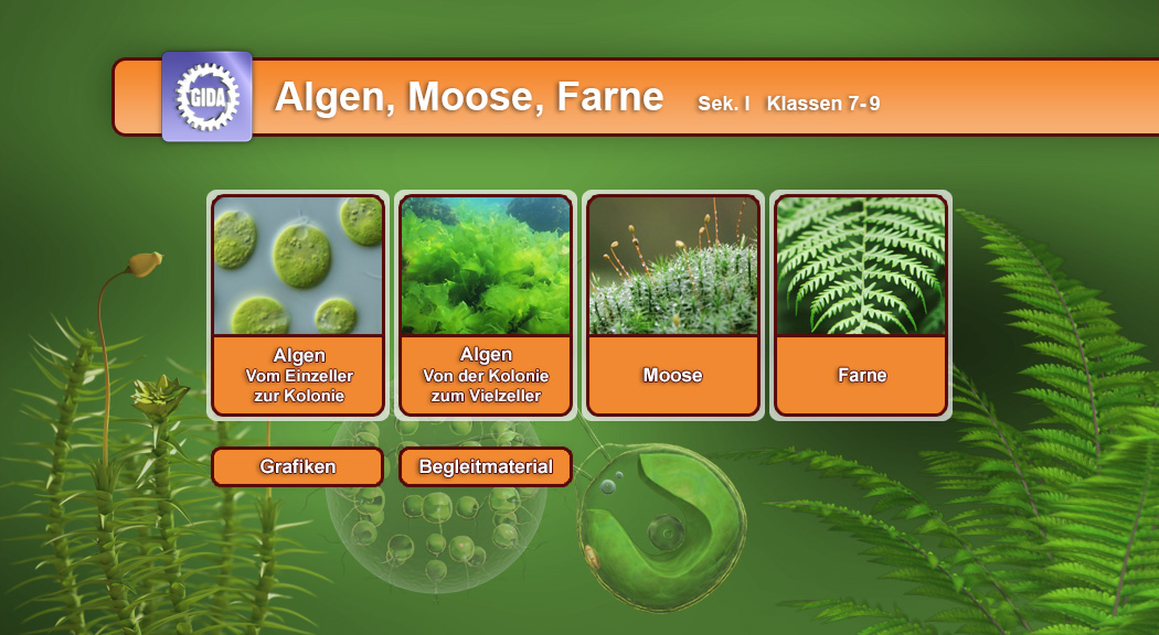 Menü des Films Algen, Moose und Farne mit Grafiken und Begleitmaterial für den Unterricht.