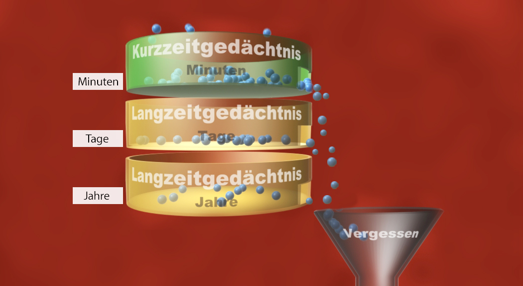 Diagramm, das die verschiedenen Gedächtnisarten zeigt: Kurzzeitgedächtnis, Langzeitgedächtnis und Vergessen über Zeiträume von Minuten, Tagen und Jahren.