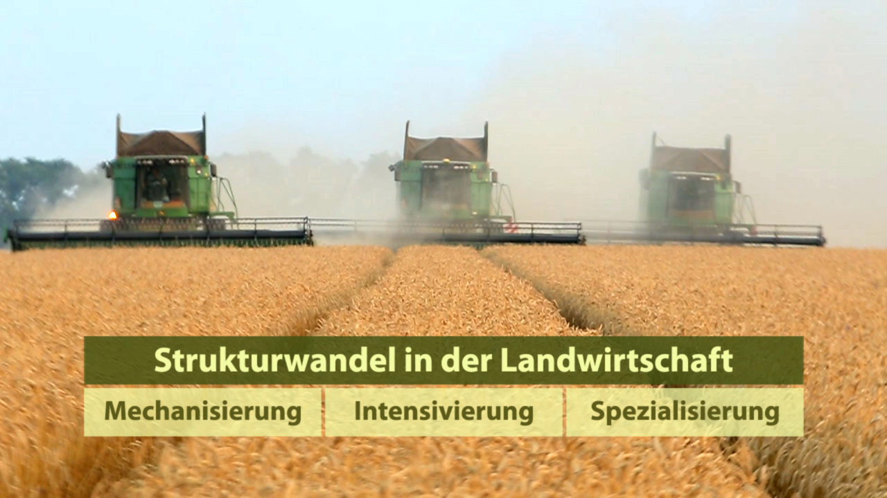 Drei Mähdrescher ernten Weizen auf einem Feld, mit dem Text 'Strukturwandel in der Landwirtschaft: Mechanisierung, Intensivierung, Spezialisierung' im Vordergrund.