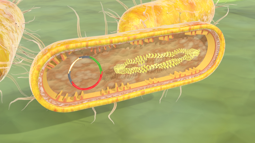 3D-Darstellung eines Bakteriums mit DNA-Strang und farbigen Kreisen.