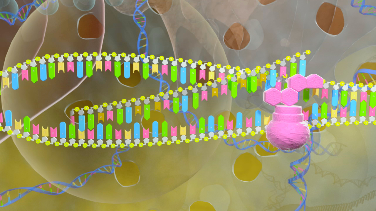 Grafik eines DNA-Strangs mit bunten Nukleotiden und einer pinken Struktur, die eine molekulare Interaktion darstellt.