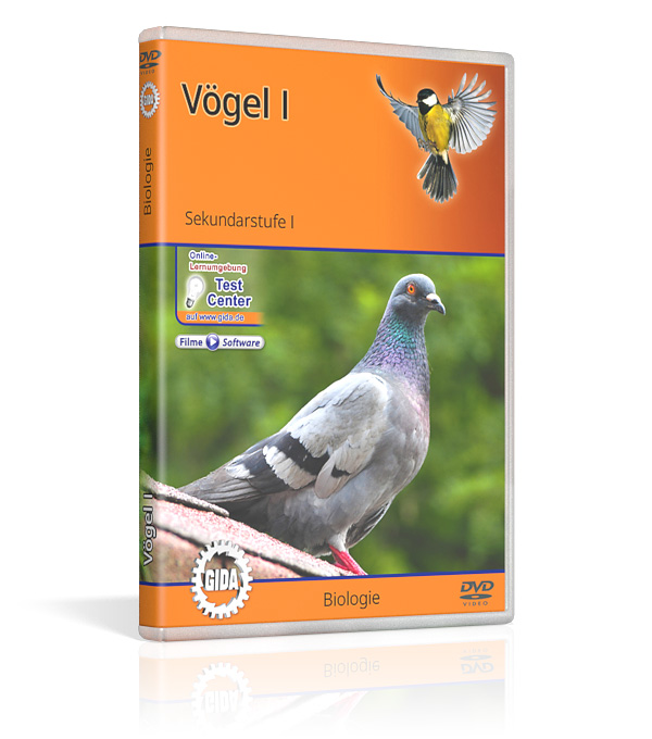 DVD-Cover des Films "Vögel I".