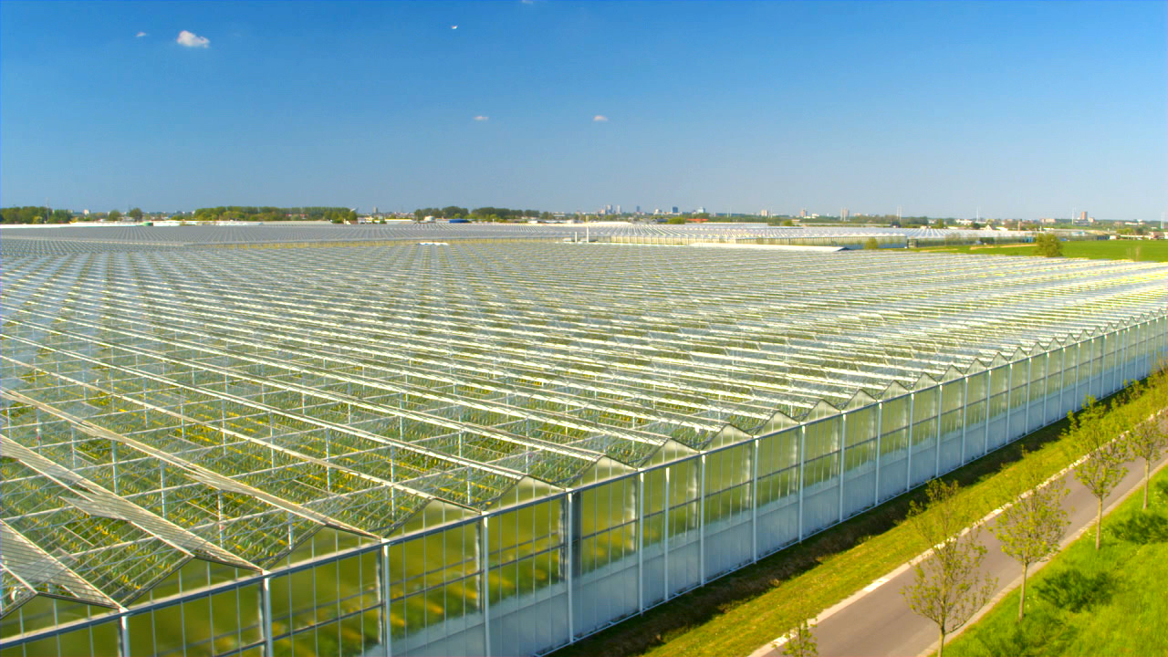 Großes Gewächshaus mit vielen transparenten Glaskonstruktionen unter blauem Himmel.