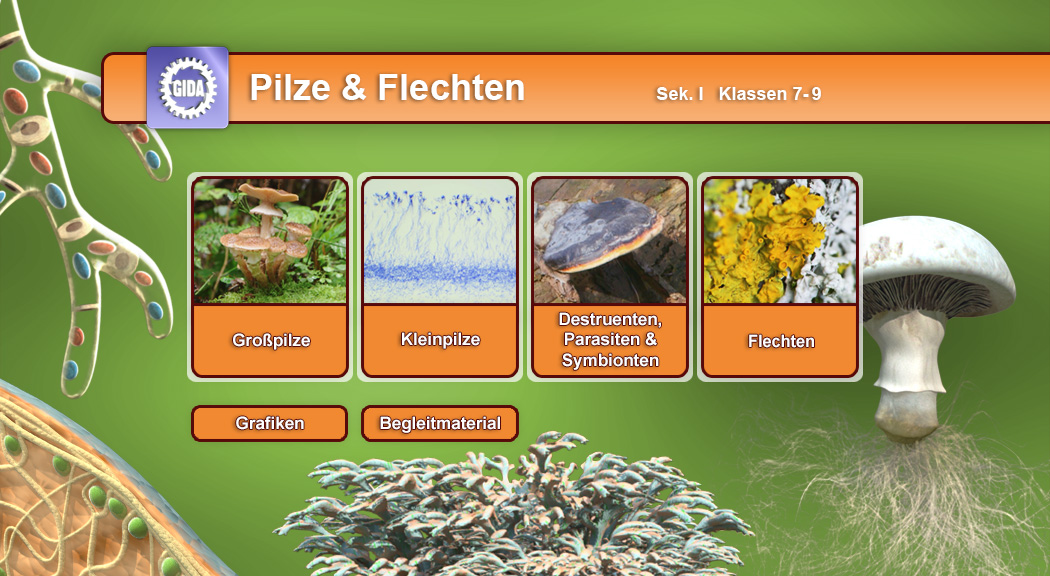 Menü des Films mit den Themen: Großpilze, Kleinpilze, Destruenten, Parasiten und Symbionten, Flechten.