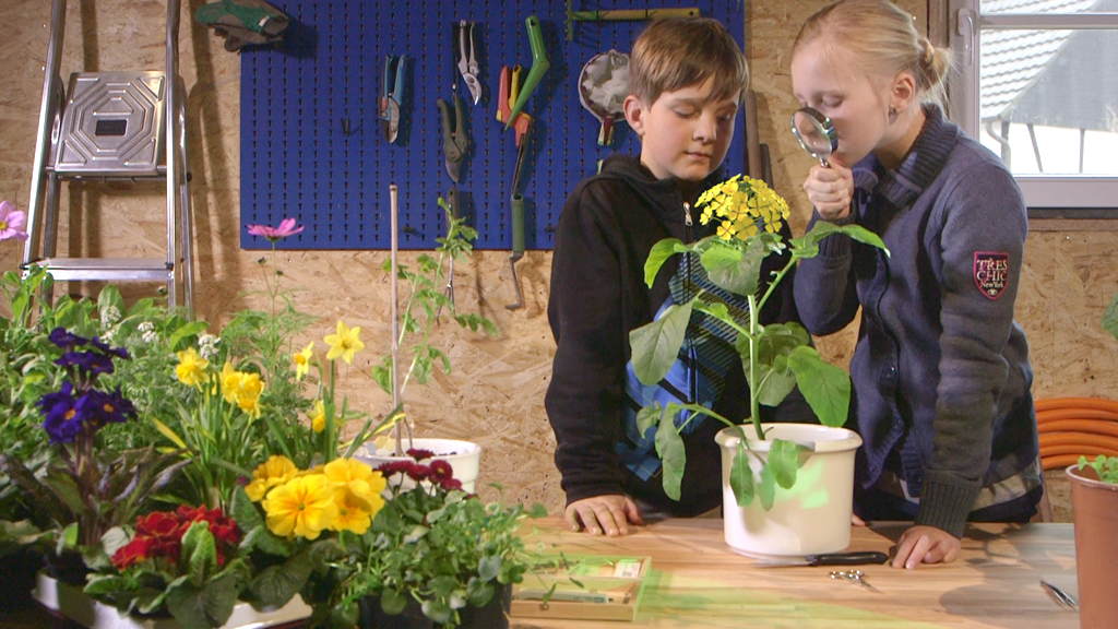 Zwei Kinder betrachten eine Pflanze mit einer Lupe in einem Gartenraum, umgeben von bunten Blumen.
