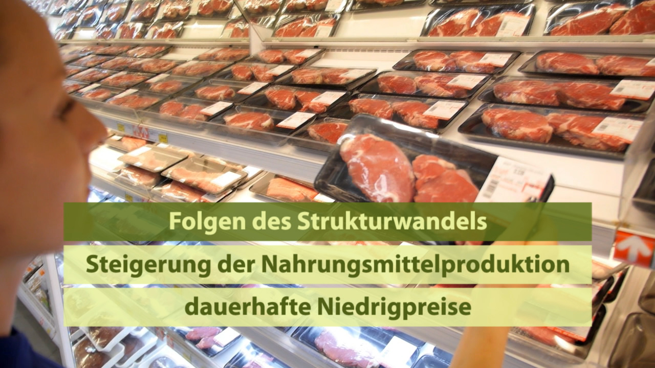 Eine Person betrachtet Fleischprodukte in einem Supermarkt mit Preisschildern im Hintergrund.