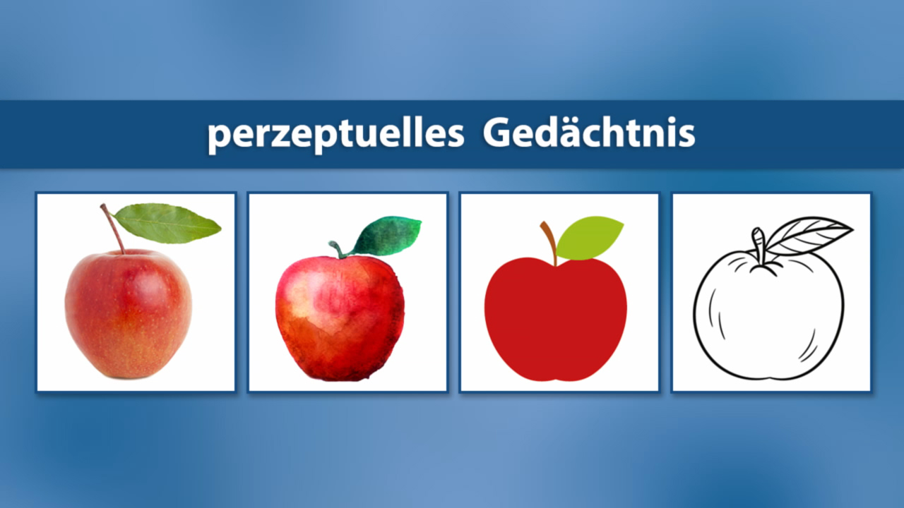 Vier Äpfel in verschiedenen Stilen: ein realistischer, ein aquarellierter, ein stilisierter und ein umreißter Apfel. Oben steht 'perzeptuelles Gedächtnis'.