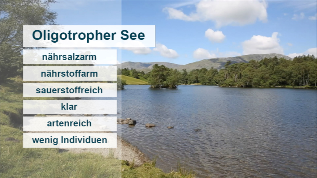 Ein oligotropher See mit klarem Wasser, umgeben von Bäumen und Hügeln. Auf der linken Seite sind Eigenschaften wie 'nährsalzarm' und 'artenreich' aufgelistet.