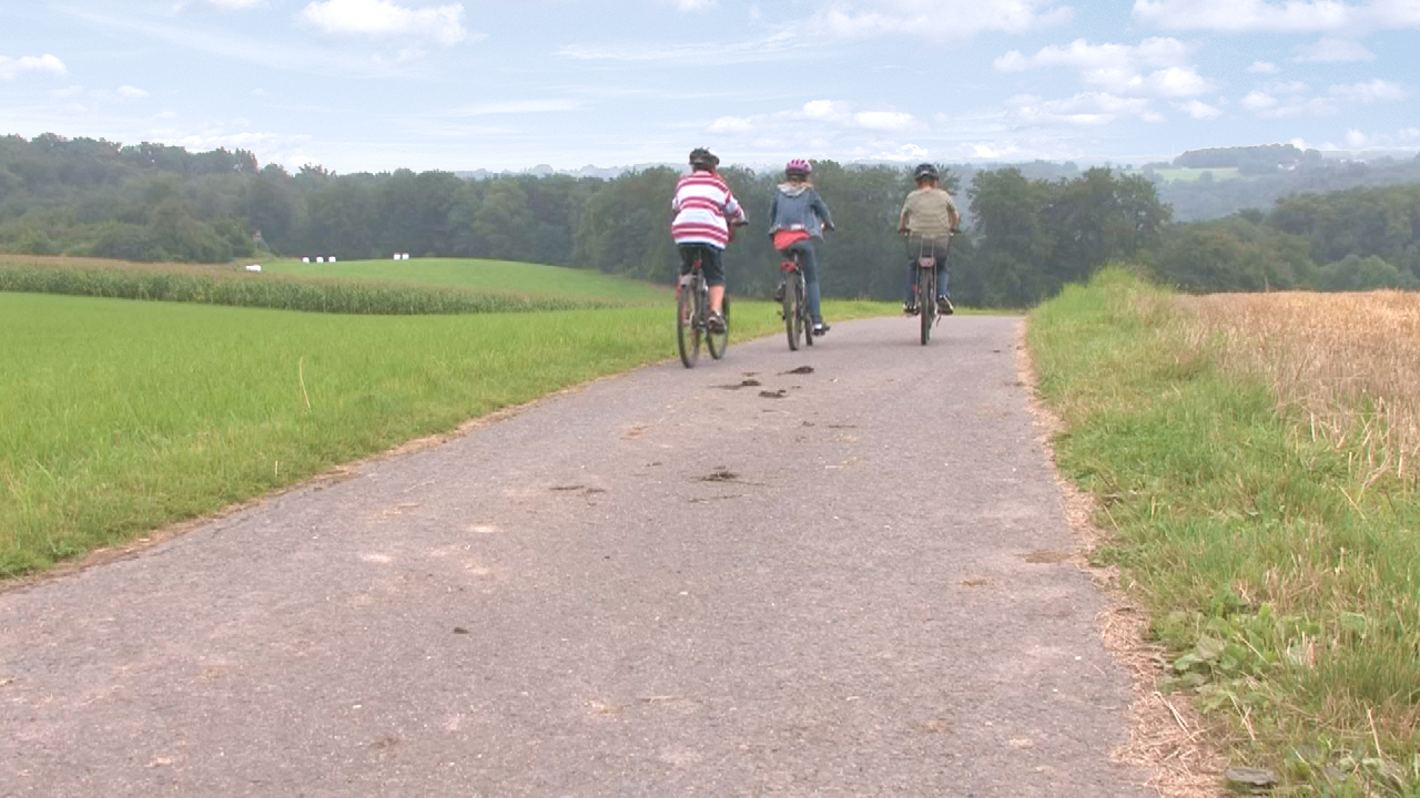 Drei Kinder fahren mit Fahrrädern auf einem Feldweg, umgeben von grünen Wiesen und Bäumen.