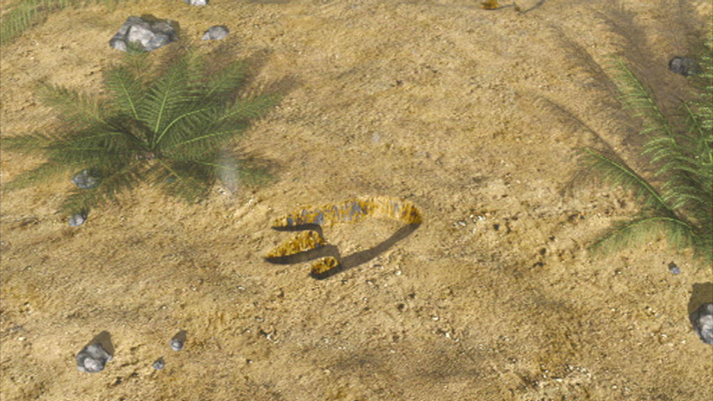Eine große, geschwungene Spur im Sand, umgeben von kleinen Steinen und Pflanzen.