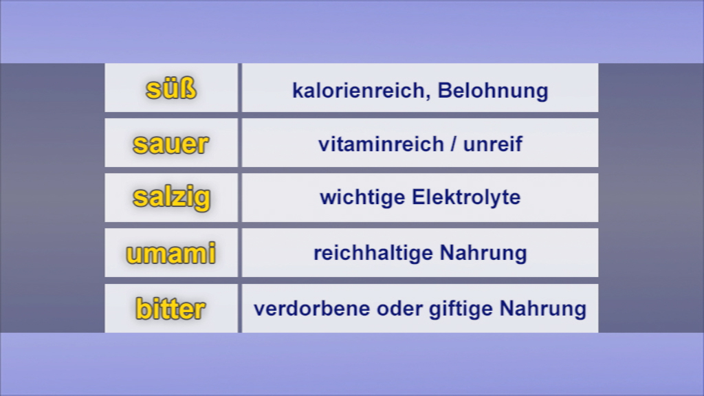 Tabelle mit Geschmacksrichtungen: süß, sauer, salzig, umami, bitter, jeweils mit zusätzlichen Beschreibungen.
