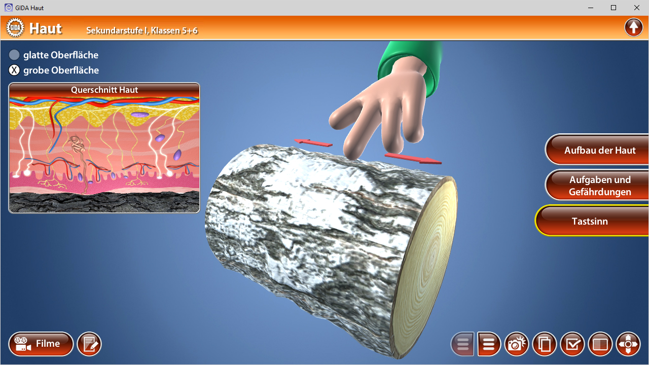 Interaktive Darstellung der Haut mit einem Querschnitt und einem Handmodell, das die Hautoberfläche berührt.