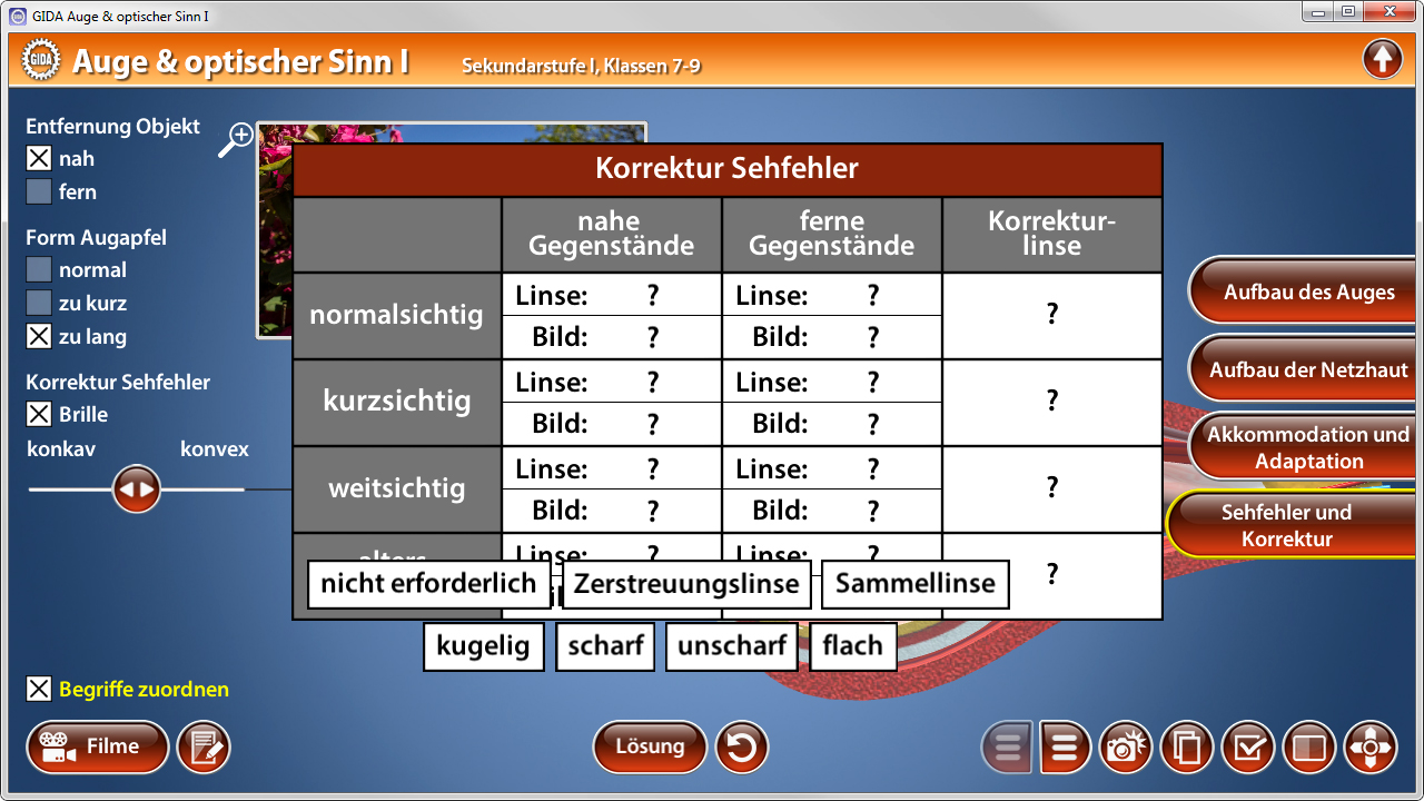 Tabelle mit Korrektur von Sehfehlern: normale Sicht, Kurzsichtigkeit, Weitsichtigkeit, mit Begriffen wie 'Zerstreuungslinse' und 'Sammellinse'.