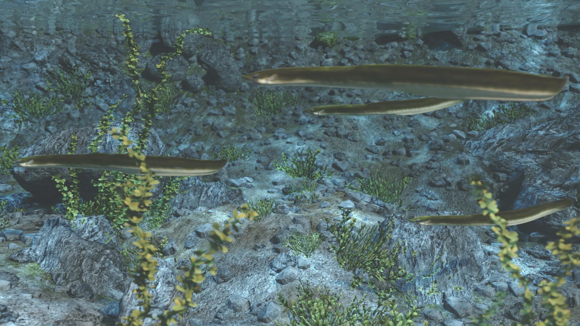 Unterwasseransicht mit mehreren langen Fischen, die durch eine felsige Umgebung schwimmen, umgeben von Wasserpflanzen.