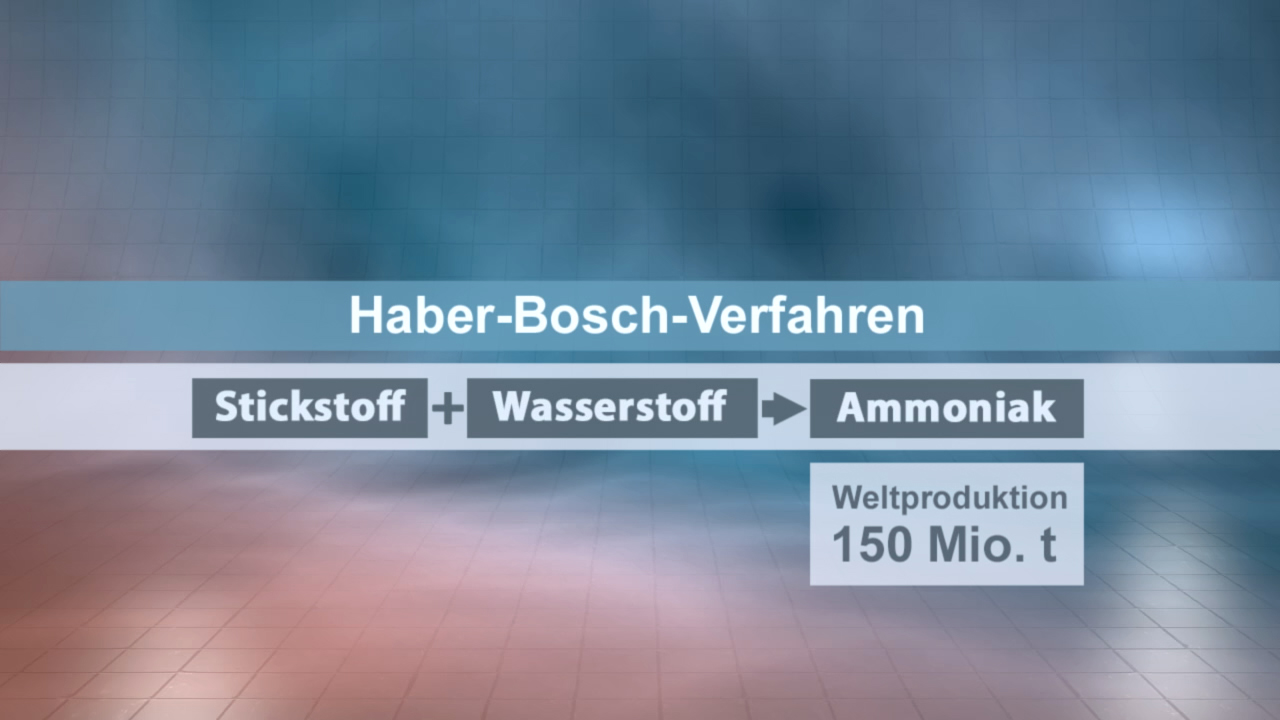 Infografik zum Haber-Bosch-Verfahren, zeigt die Reaktion von Stickstoff und Wasserstoff zu Ammoniak, mit einer Weltproduktion von 150 Millionen Tonnen.