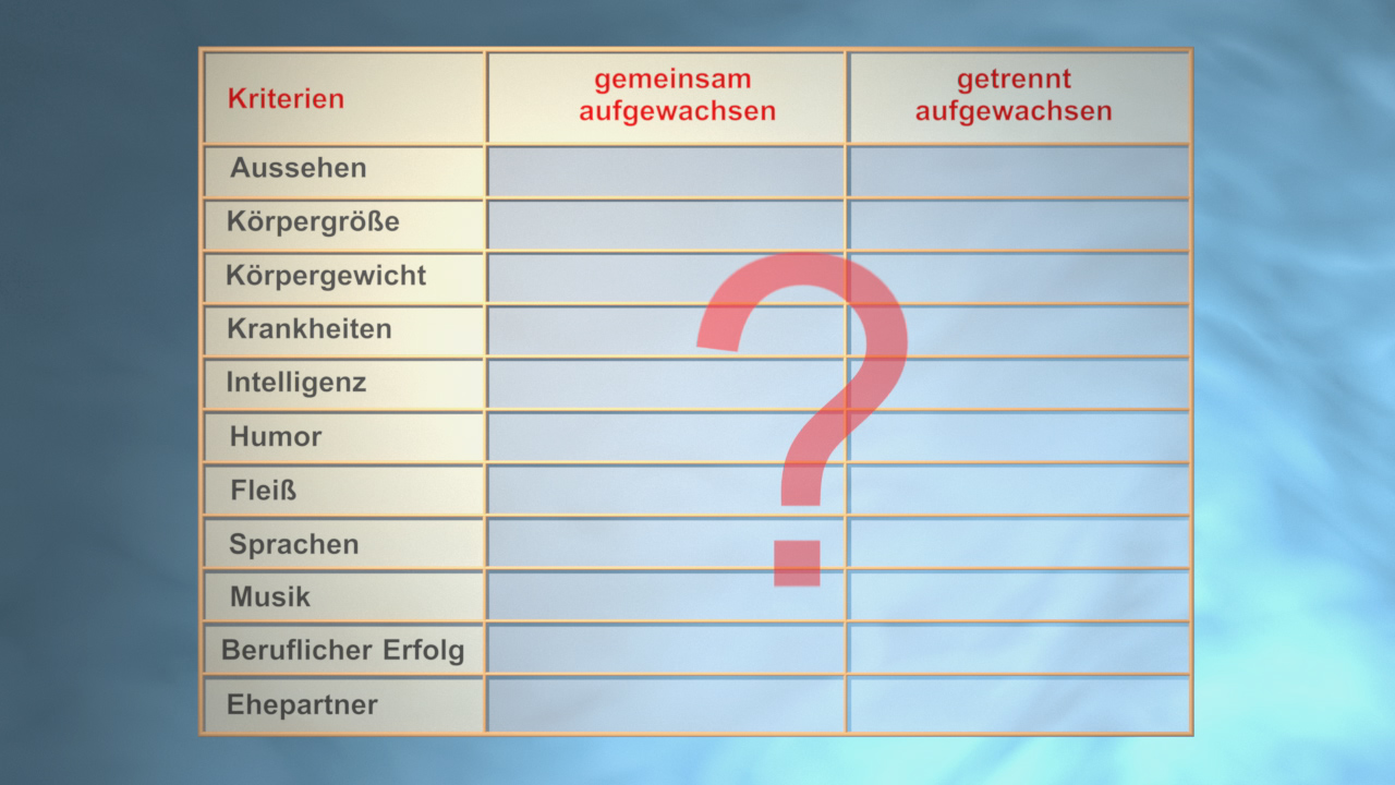 Tabelle mit Kriterien für den Vergleich von Personen, darunter Aussehen, Körpergröße, Körpergewicht, Krankheiten, Intelligenz, Humor, Fleiß, Sprachen, Musik, beruflicher Erfolg und Ehepartner.