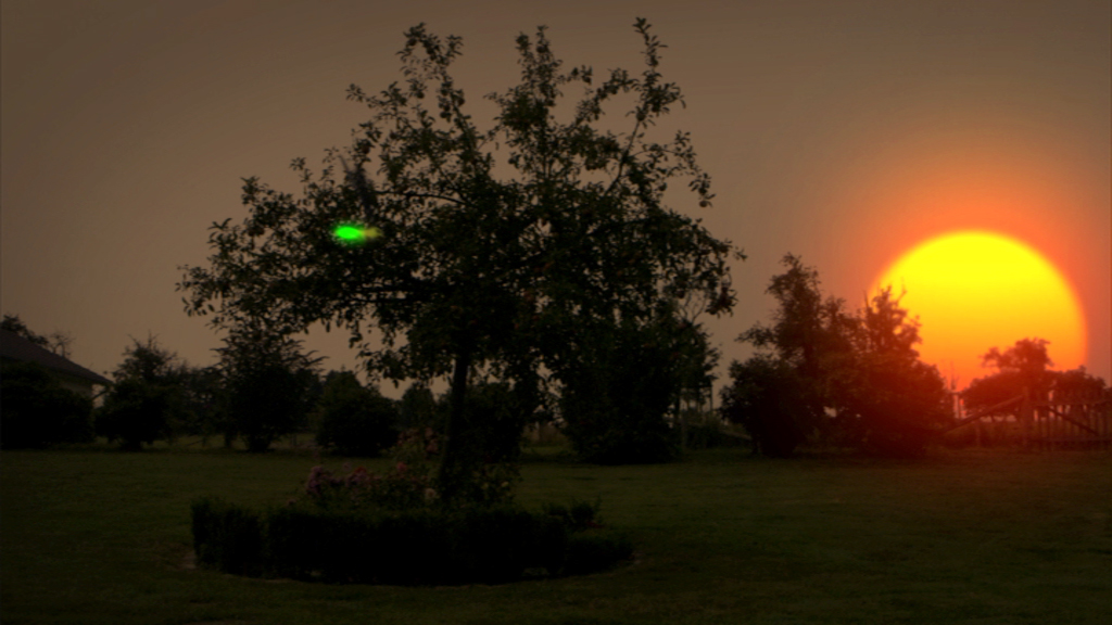 Ein Baum steht auf einer Wiese vor einem Sonnenuntergang, der den Himmel orange färbt.