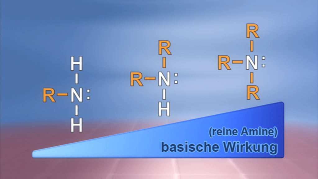 Diagramm, das die basische Wirkung reiner Amine zeigt, mit chemischen Formeln und einer Skala.