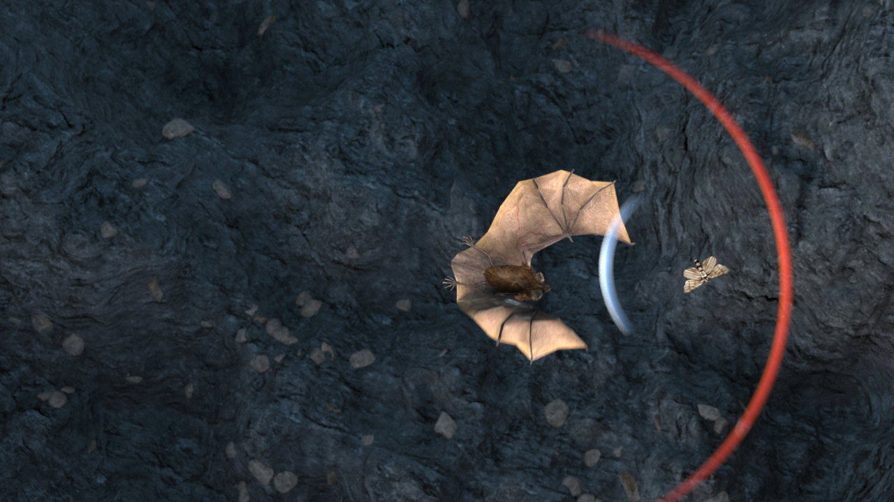 Eine Fledermaus fliegt in einer Höhle, umgeben von dunklem Gestein.