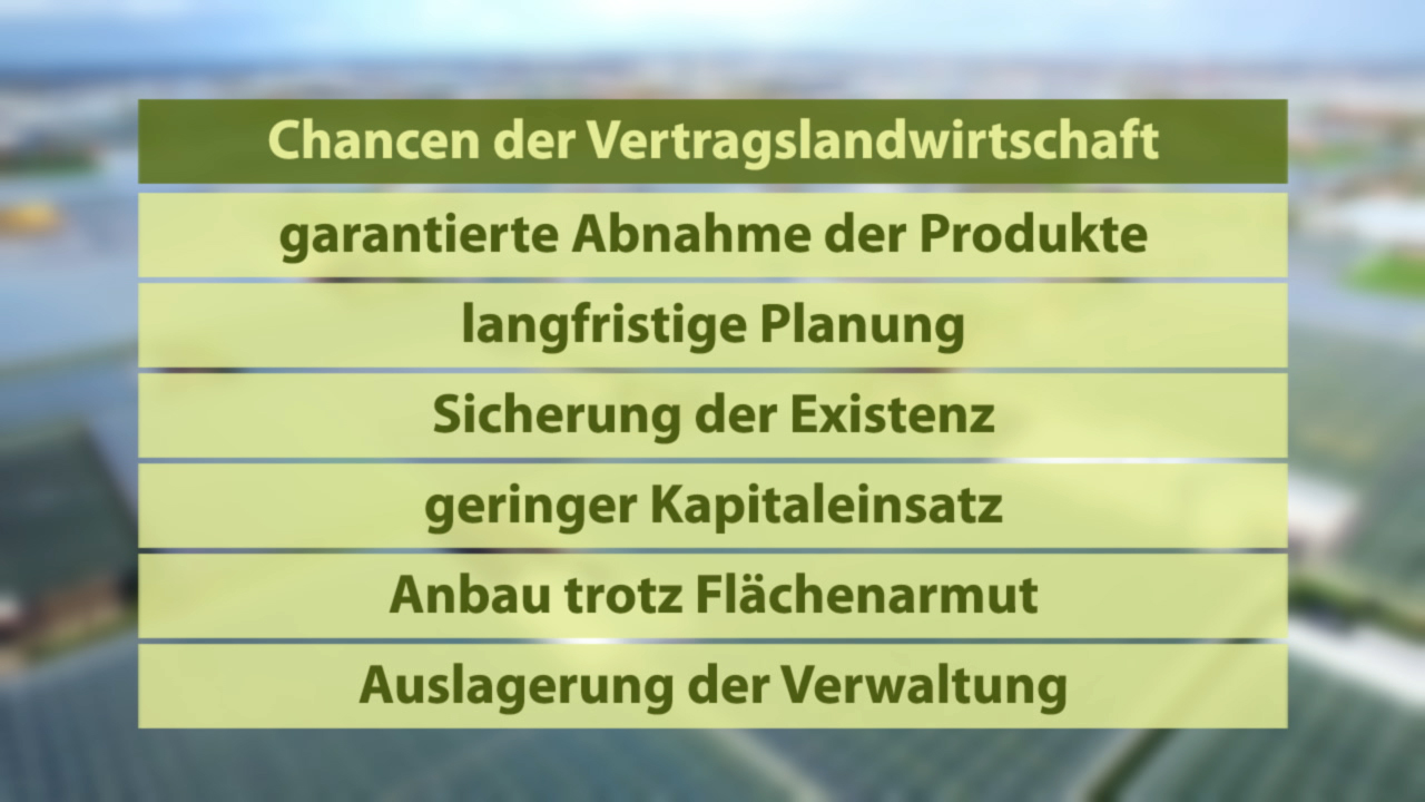 Infografik über Chancen der Vertragslandwirtschaft mit Punkten wie garantierte Abnahme der Produkte und langfristige Planung.