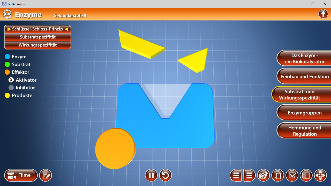 Interaktive Darstellung des Schlüssel-Schloss-Prinzips in der Enzymbiologie mit geometrischen Formen.