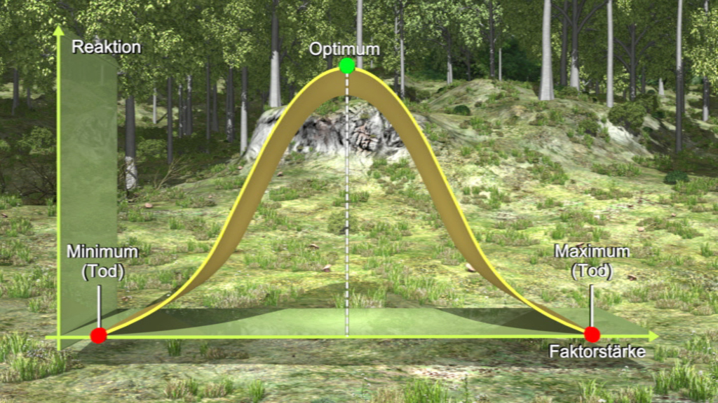 Grafik zeigt eine Kurve mit den Punkten Minimum (Tod), Optimum und Maximum (Tod) in einem Waldgebiet.