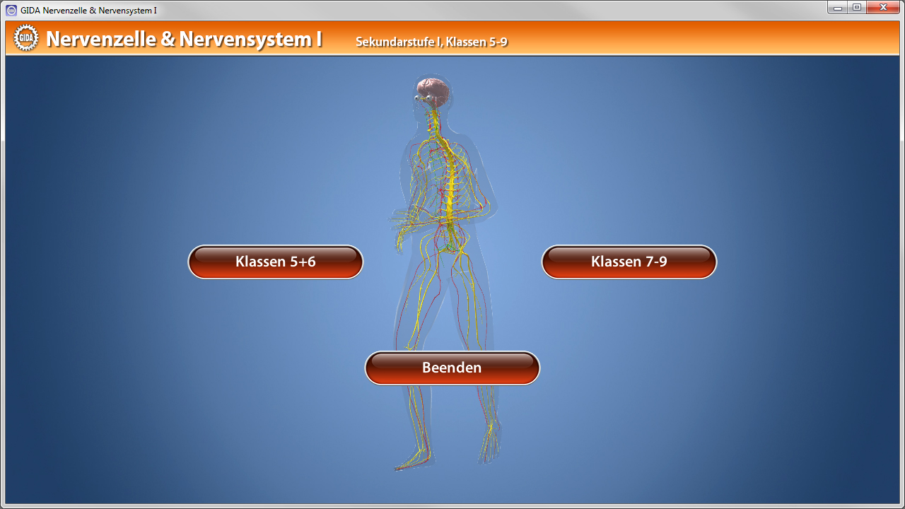 Grafik des menschlichen Nervensystems mit Nervenbahnen und Auswahlmöglichkeiten für Klassen 5-6 und 7-9.