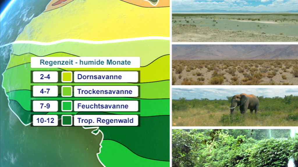 Karte der Vegetationszonen in Afrika mit Regenzeiten und typischen Landschaften: Dorn- und Trocken-Savanne, Feuchtsavanne, tropischer Regenwald.
