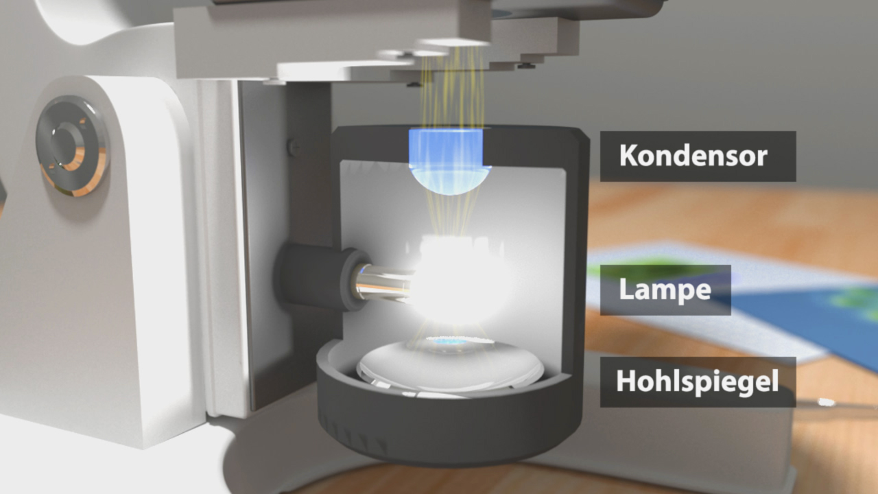Schematische Darstellung eines Mikroskops mit Beschriftungen für Kondensor, Lampe und Hohlspiegel.