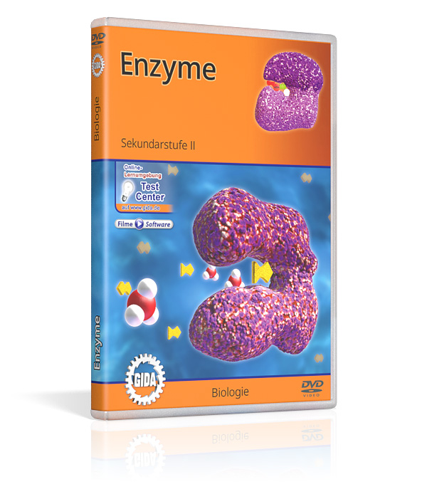 DVD-Cover des Films "Enzyme".