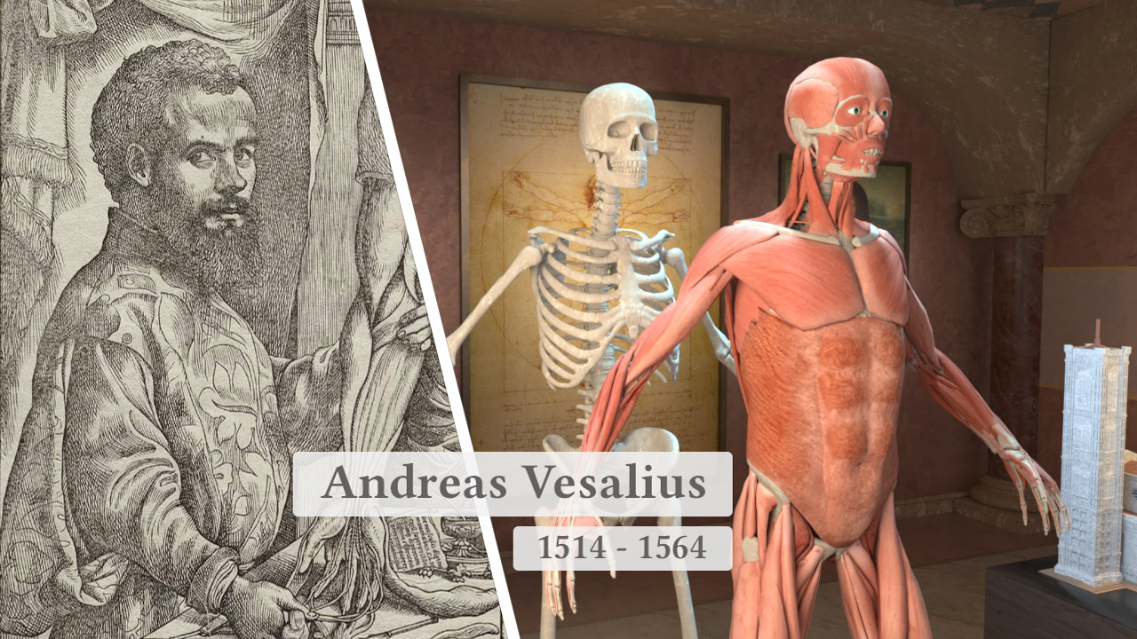 Darstellung von Andreas Vesalius mit einem historischen Porträt und einem anatomischen Modell des menschlichen Körpers.