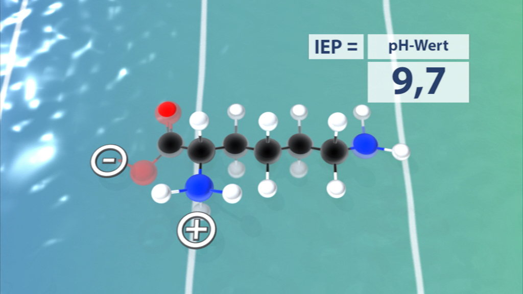 Infografik zur Darstellung des isoelektrischen Punktes (IEP) mit pH-Wert 9,7 und chemischer Struktur.