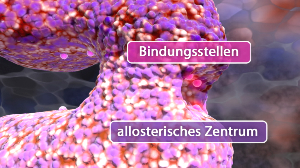 3D-Darstellung eines Moleküls mit hervorgehobenen Bindungsstellen und einem allosterischen Zentrum.