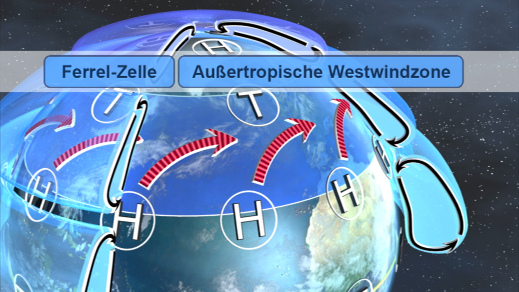 Diagramm der Ferrel-Zelle und der außertropischen Westwinde mit Pfeilen, die Windrichtungen anzeigen.