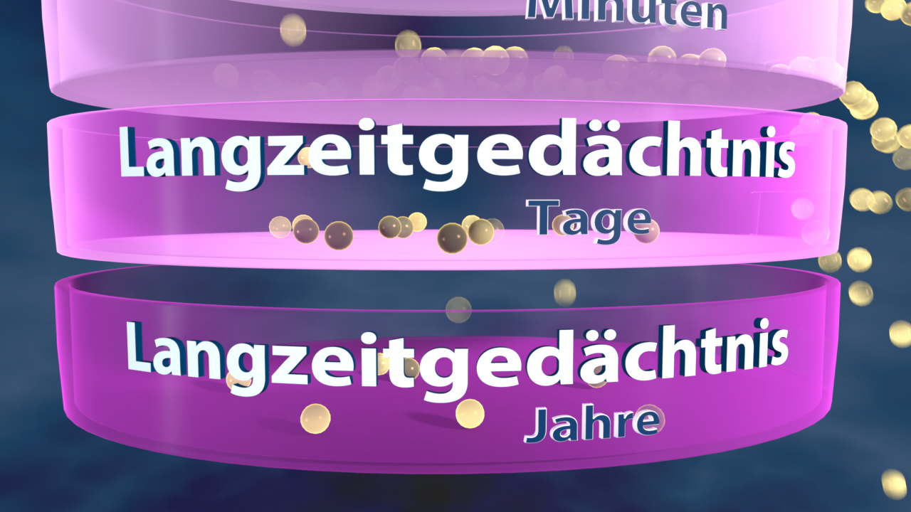 Grafik, die die verschiedenen Gedächtnisarten zeigt: Minuten, Tage und Jahre, in lila Ringen angeordnet.
