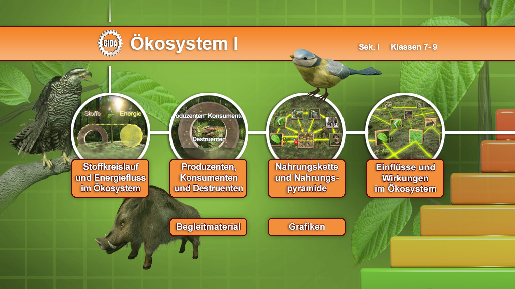 Menü des Films mit den Themen: Stoffkreislauf, Produzenten, Konsumenten, Nahrungsnetz.