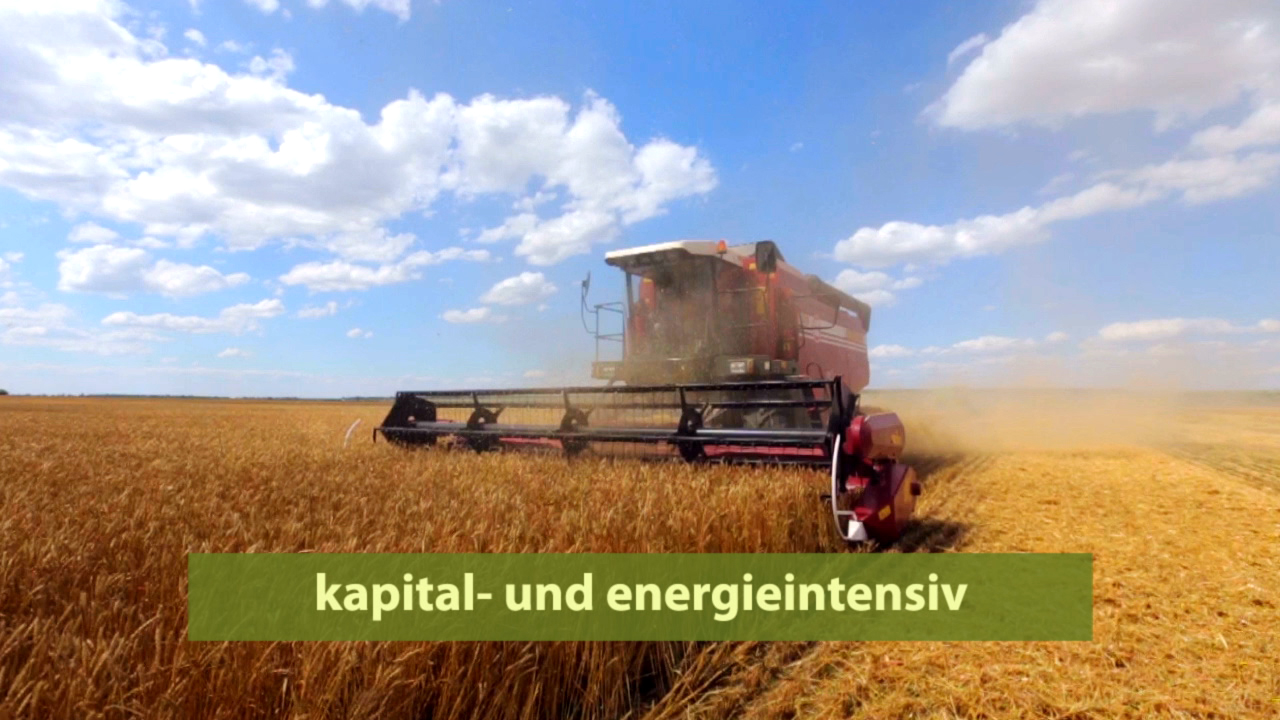 Ein Mähdrescher erntet Weizen auf einem Feld unter einem blauen Himmel mit Wolken.