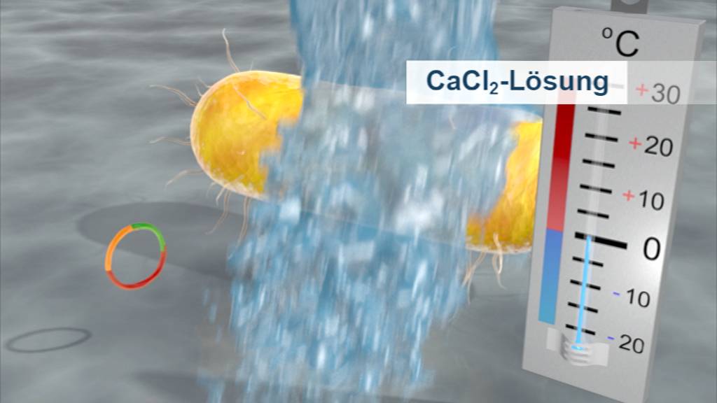 Animation zeigt eine gelbe Struktur, die mit einer CaCl₂-Lösung in Kontakt kommt, während Wasser darüber fließt und eine Temperaturanzeige sichtbar ist.