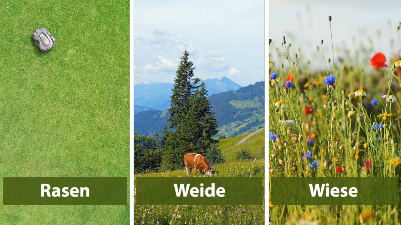 Drei Bilder: links ein Rasenmäher auf grünem Rasen, in der Mitte eine Weide mit einer Kuh und Bergen im Hintergrund, rechts eine blühende Wiese mit bunten Blumen.