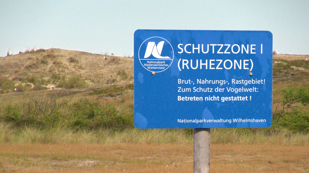 Ein blauer Schild mit der Aufschrift 'SCHUTZZONE I (RUHEZONE)' und Informationen zum Vogelschutz.