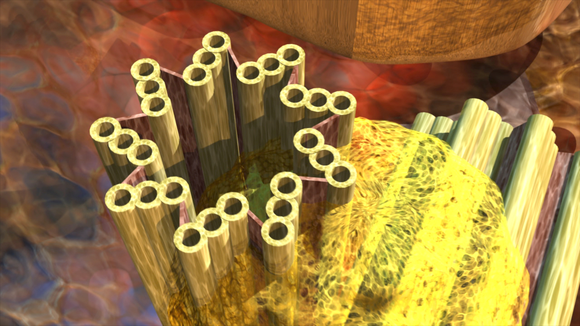 3D-Darstellung von zylindrischen Strukturen, die in einer sternförmigen Anordnung angeordnet sind, mit buntem Hintergrund.