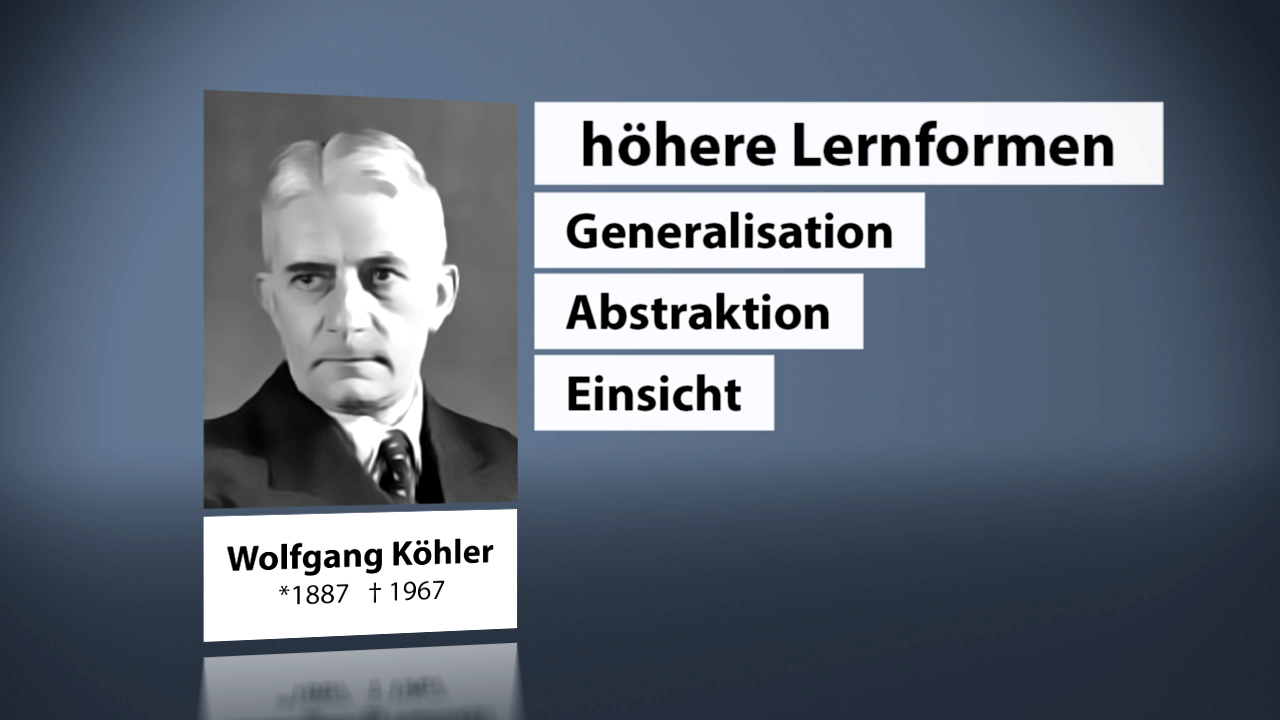 Porträt von Wolfgang Köhler mit den Begriffen 'höhere Lernformen', 'Generalisation', 'Abstraktion' und 'Einsicht' daneben.