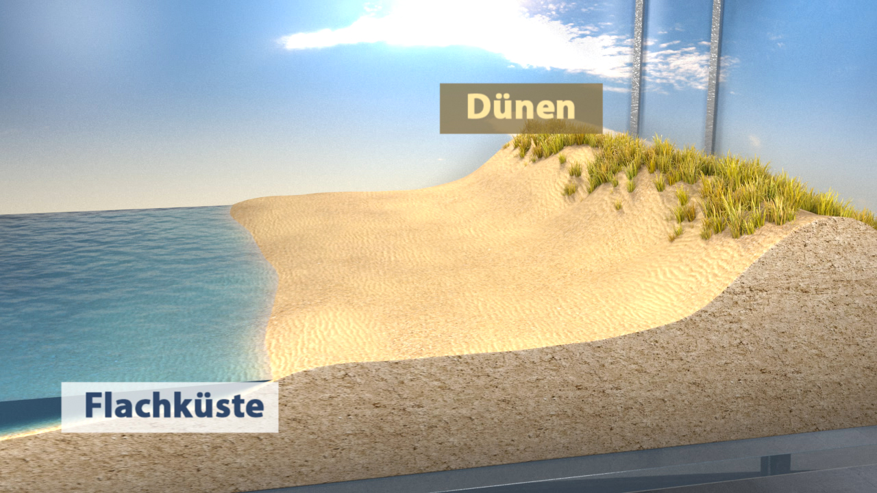 Grafik zeigt eine Flachküste mit Dünen im Vordergrund und Wasser im Hintergrund.