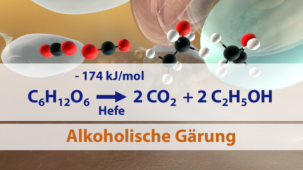 Diagramm zur alkoholischen Gärung mit chemischer Gleichung und Energieangabe.