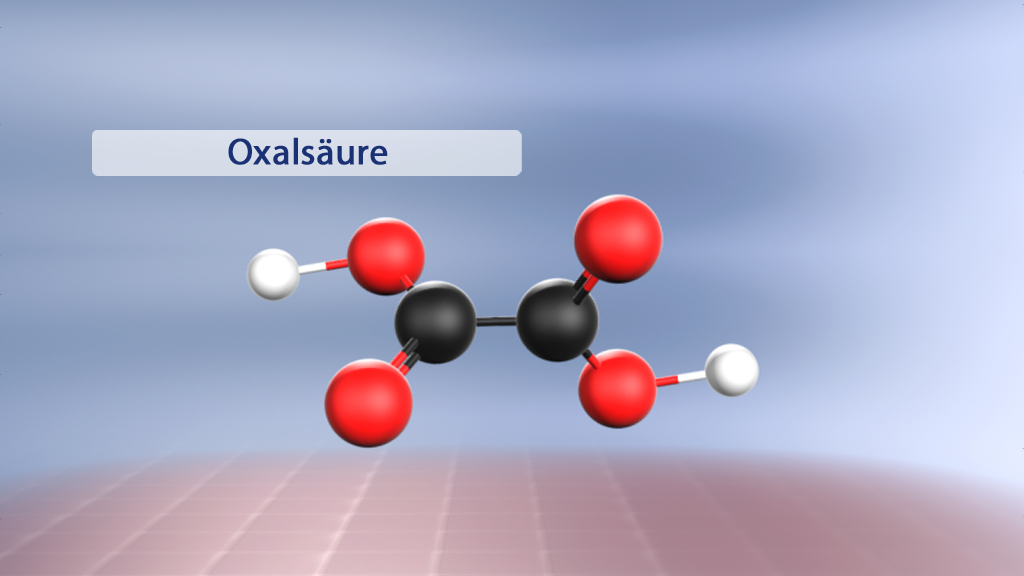 Molekülstruktur von Oxalsäure mit rot gefärbten Sauerstoffatomen, schwarzem Kohlenstoffatom und weißen Wasserstoffatomen.