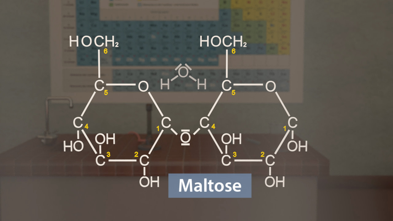 Maltose-Molekülstruktur mit chemischen Formeln und Bindungen.